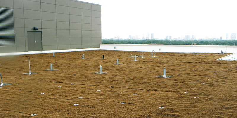 Green Roof Solutions erosion control systems to prevent wind erosion and water erosion on rooftop gardens.