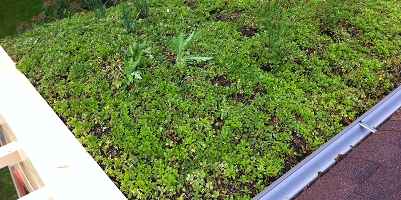 Green Roof Solutions custom edge products.