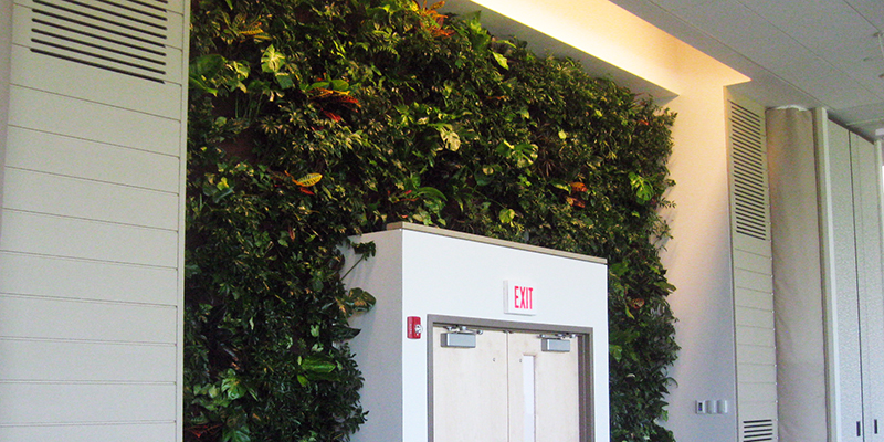 Green Roof Soltuions complete green construction systems that clean the air to improve air quality and eliminate the effects of indoor air pollution.