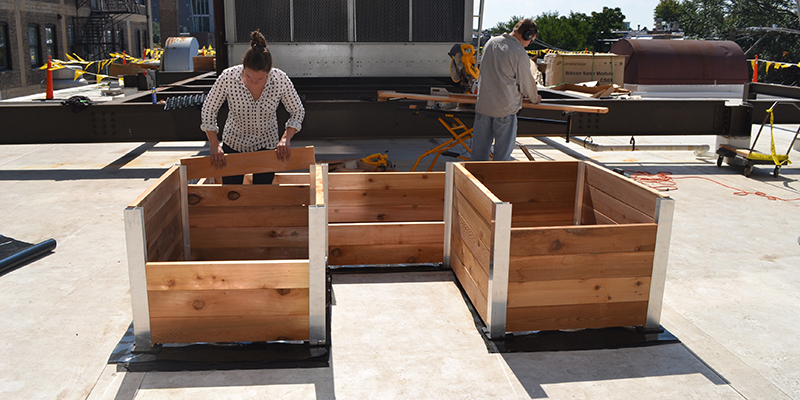 Green Roof Solutions - Rooftop Farms